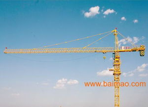 青島天正重工 以合理價格與及時服務(wù)，構(gòu)筑塔吊租賃的堅實后盾